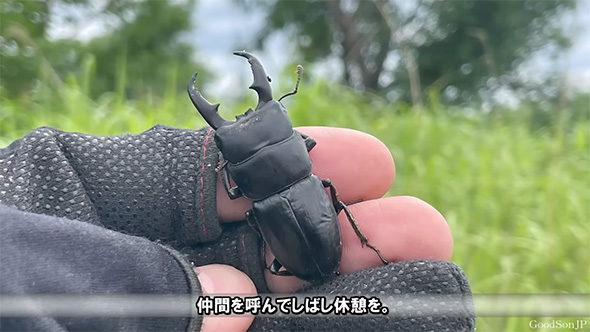 仲間を呼んでしばし