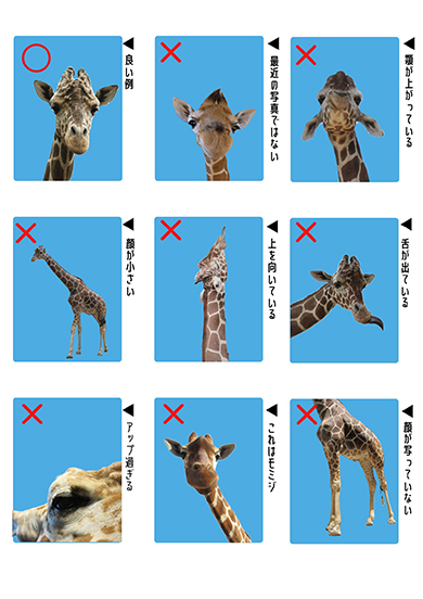 キリン「そら」