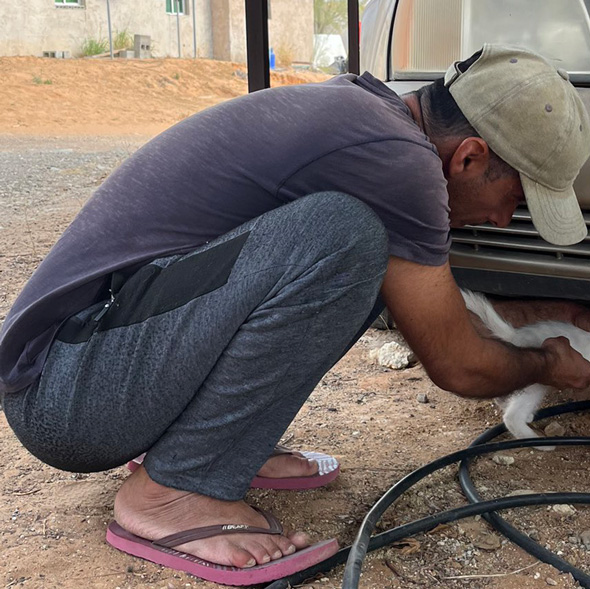 UAEで夫が見た謎の生物である白猫を保護