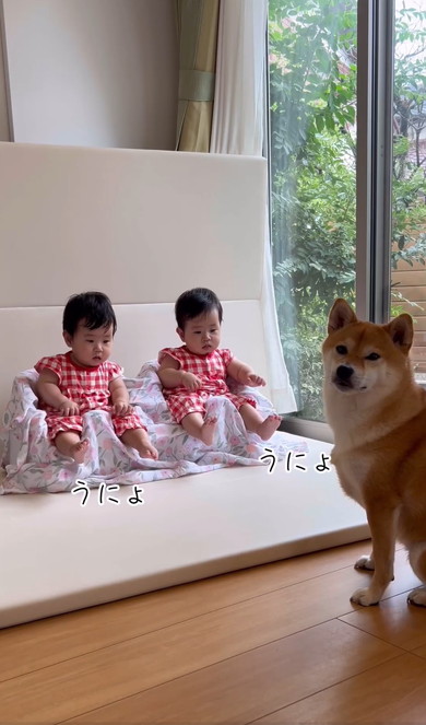 双子赤ちゃんが楽しいときのクセ