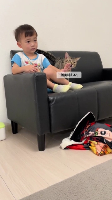 息子が好きすぎる猫