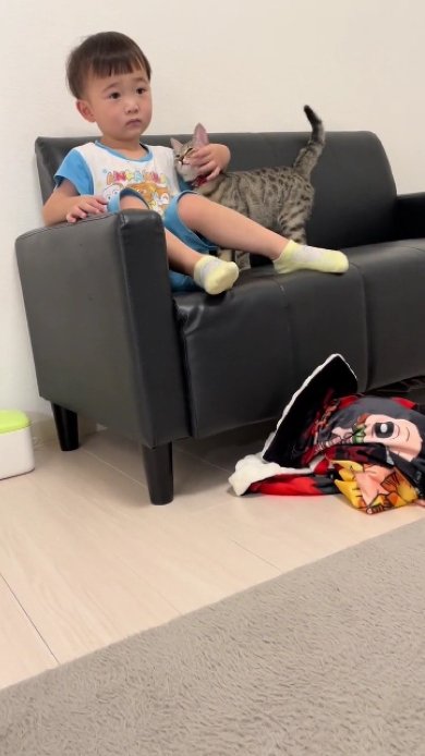 息子が好きすぎる猫