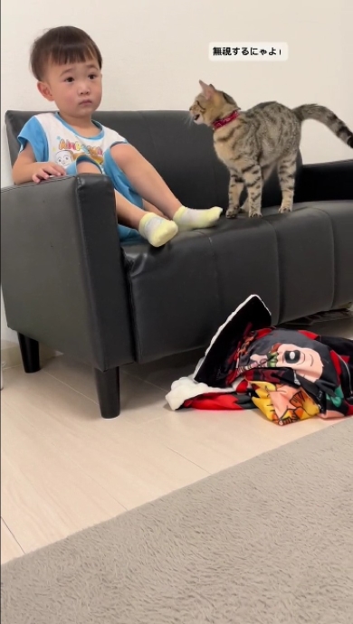 息子が好きすぎる猫