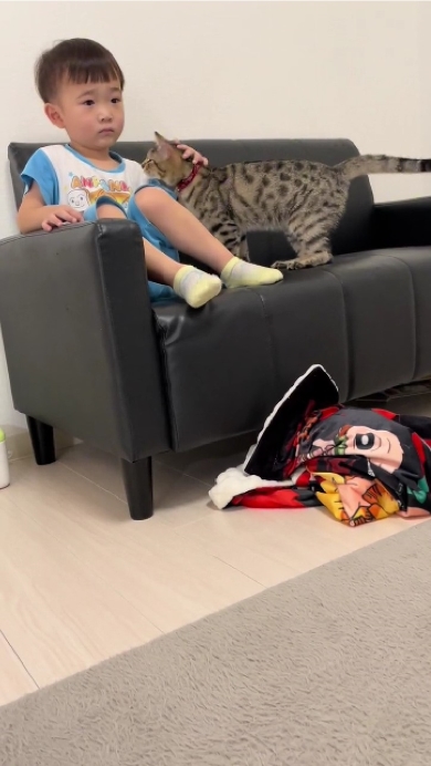 息子が好きすぎる猫