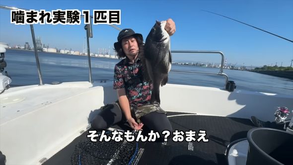 貝殻をも砕くクロダイにかまれたが予想よりも痛くなかった