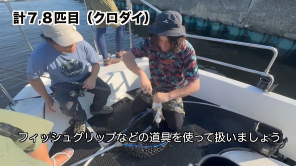 クロダイやキチヌを取り扱う際はフィッシュグリップなどを使うよう注意喚起
