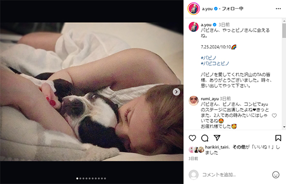 浜崎あゆみと愛犬のパピコ