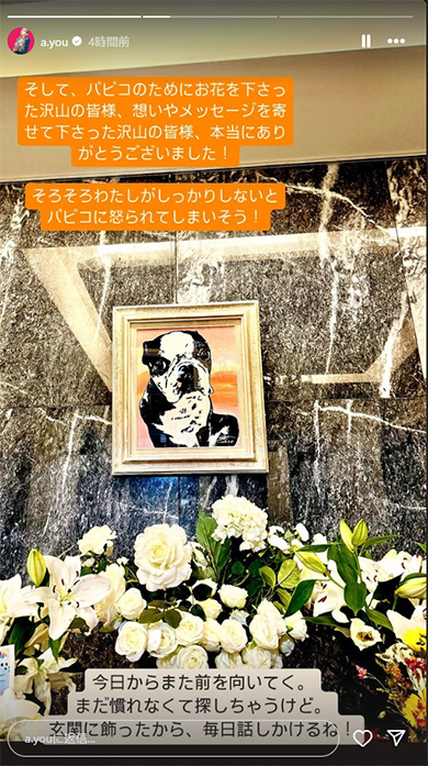 浜崎あゆみの愛犬・パピコの肖像画