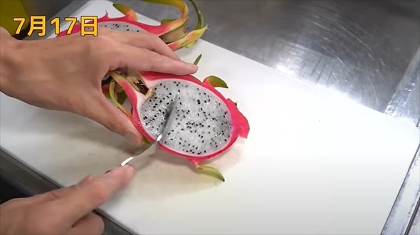 食べ終わったマンゴーの種を土に植えたら
