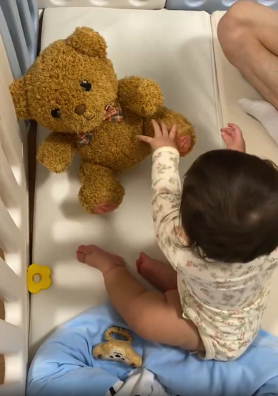 ぬいぐるみに手をのばす赤ちゃん
