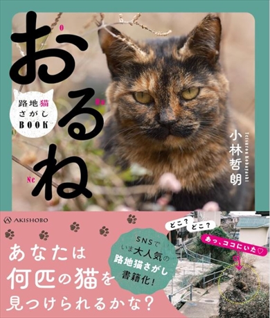 路地猫さがし