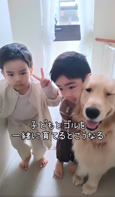 ゴールデンと男の子