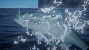 ネガポジアングラー