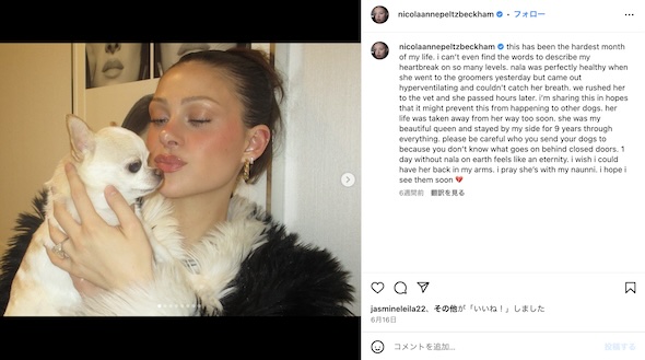 ニコラ・ペルツInstagram