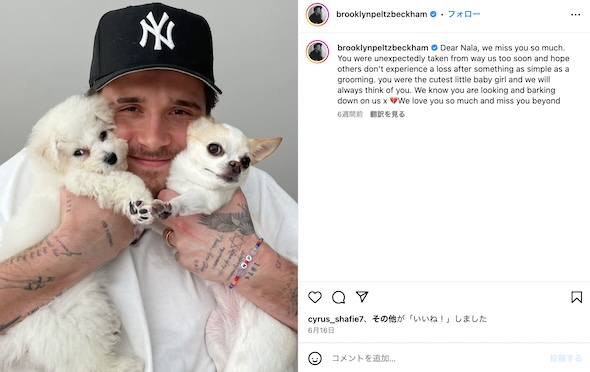 ブルックリン・ベッカムInstagram