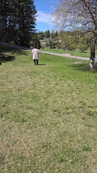 娘が映したママの姿