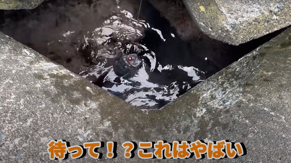 100均釣り竿で釣り