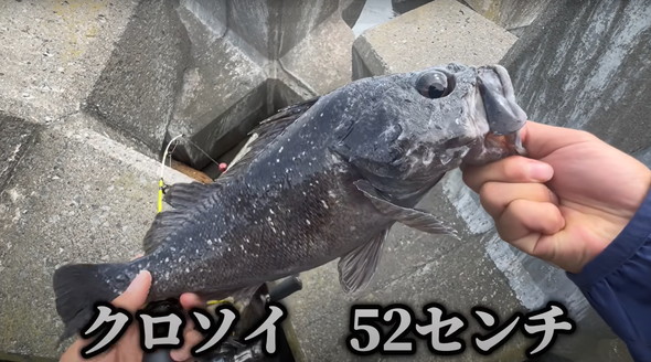 100均釣り竿で釣り