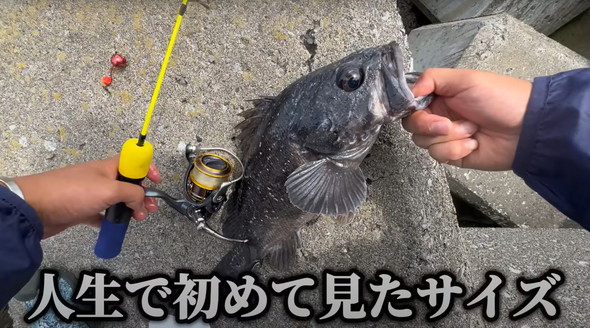 100均釣り竿で釣り