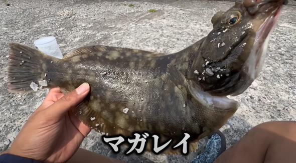 100均釣り竿で釣り