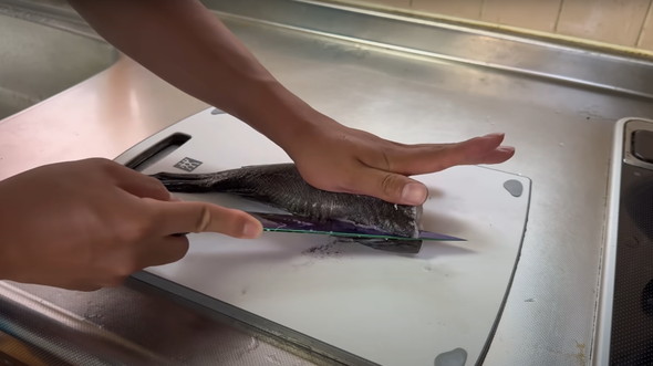 100均釣り竿で釣り