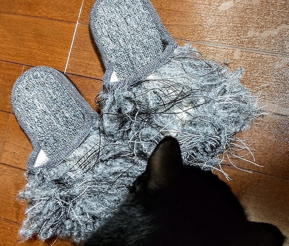 ニャンコによりアートへと変えられたスリッパ