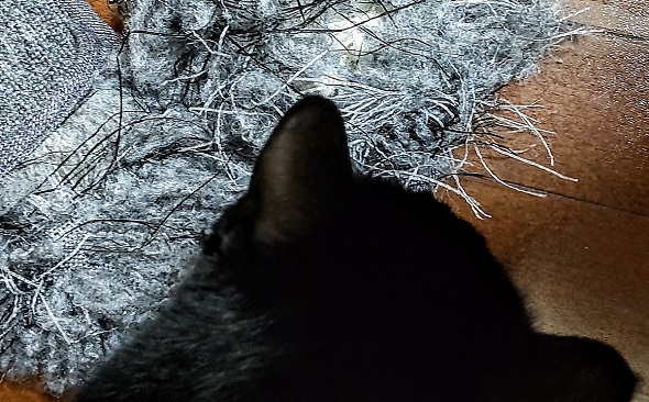 ニャンコによりアートへと変えられたスリッパ