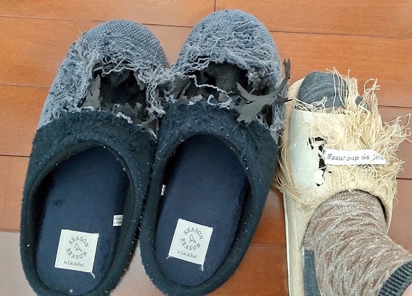 ニャンコによりアートへと変えられた黒とベージュのスリッパ