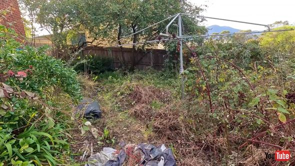 6年 放置 荒れ果てた 庭 プロ 掃除 ビフォーアフター