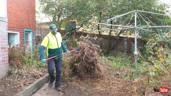 6年 放置 荒れ果てた 庭 プロ 掃除 ビフォーアフター