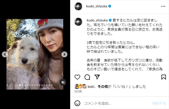 工藤静香と愛犬
