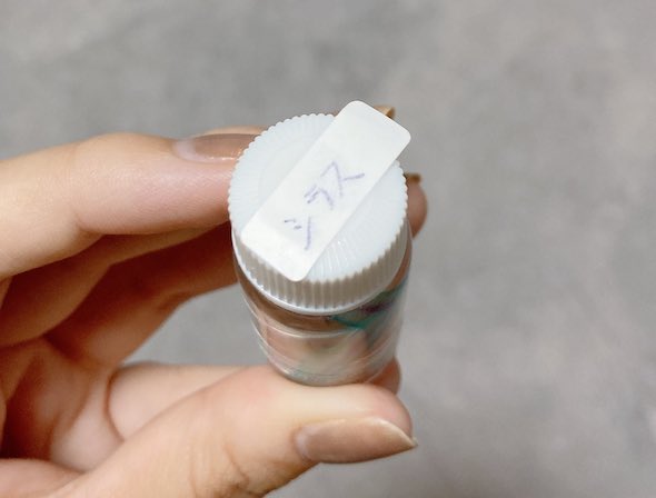 夫がお土産に買ってきたシラス