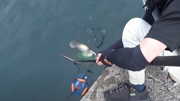 梅雨入りの堤防で巨大魚が釣りあがる