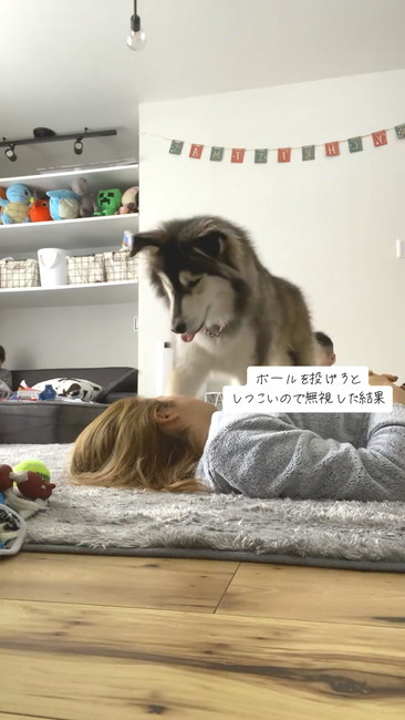 ジッと見るワンコ