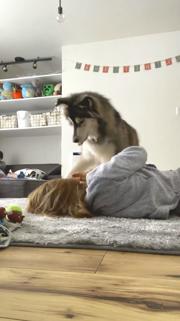 2パンチするワンコ