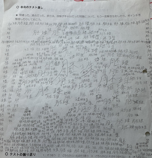 「胚珠」をたくさん書く