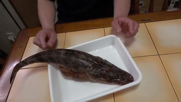 ワニゴチ 捌いて 食べる 料理 30年間食べたかった 希少 魚