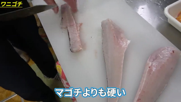 ワニゴチ 捌いて 食べる 料理 30年間食べたかった 希少 魚