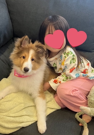 お迎えした生後4カ月ごろのワンコ