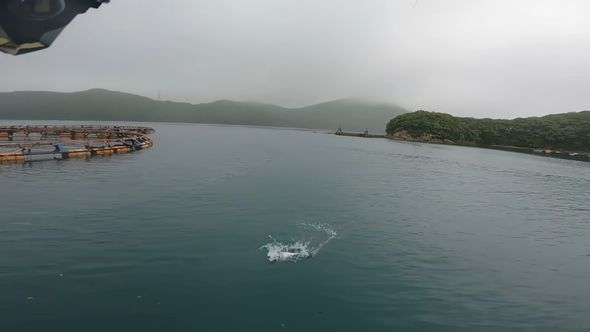 竿を大きくしならせて魚を海面まで引っ張り上げる