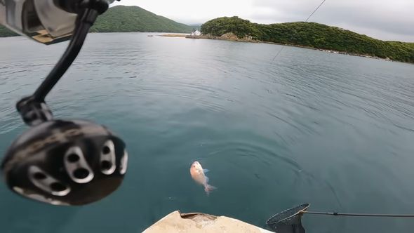格闘を繰り広げてマダイを釣り上げる