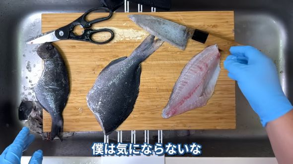 冷蔵庫で1カ月熟成させたオナガメジナの臭いを確認した野食ハンター