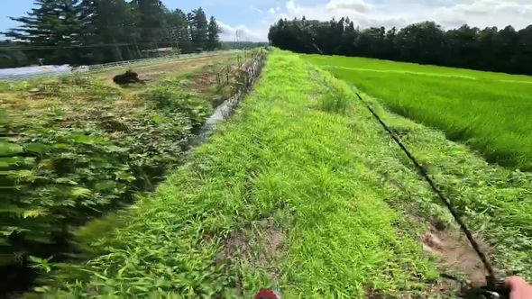 歩いていたらクマと遭遇してしまった釣り人