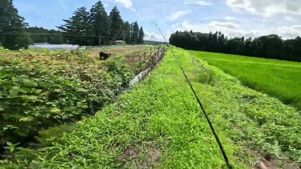 歩いていたらクマと遭遇してしまった釣り人