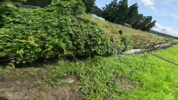 クマから走って逃げる釣り人