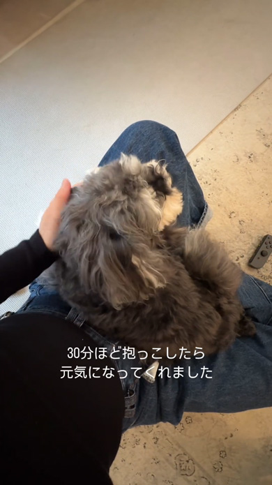 能登半島地震のトラウマで地震が怖くなったワンコ