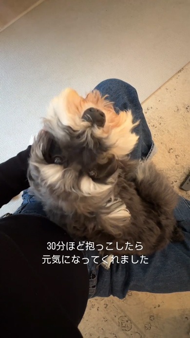 能登半島地震のトラウマで地震が怖くなったワンコ