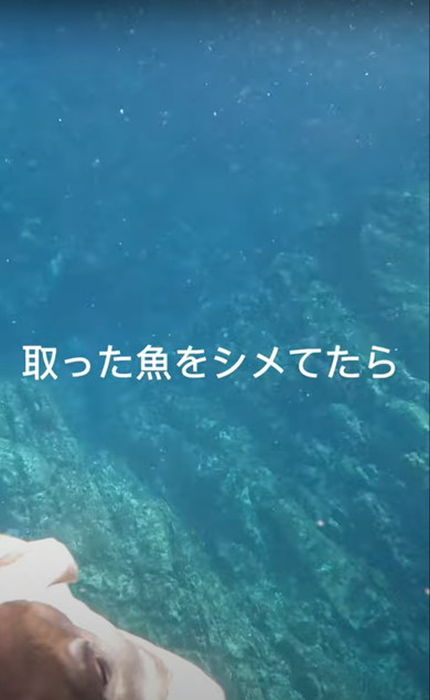 海でサメに遭遇
