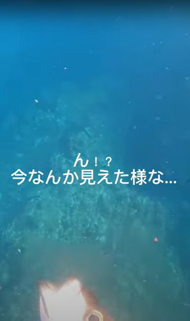海でサメに遭遇