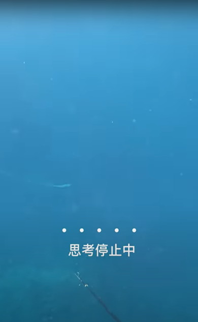海でサメに遭遇